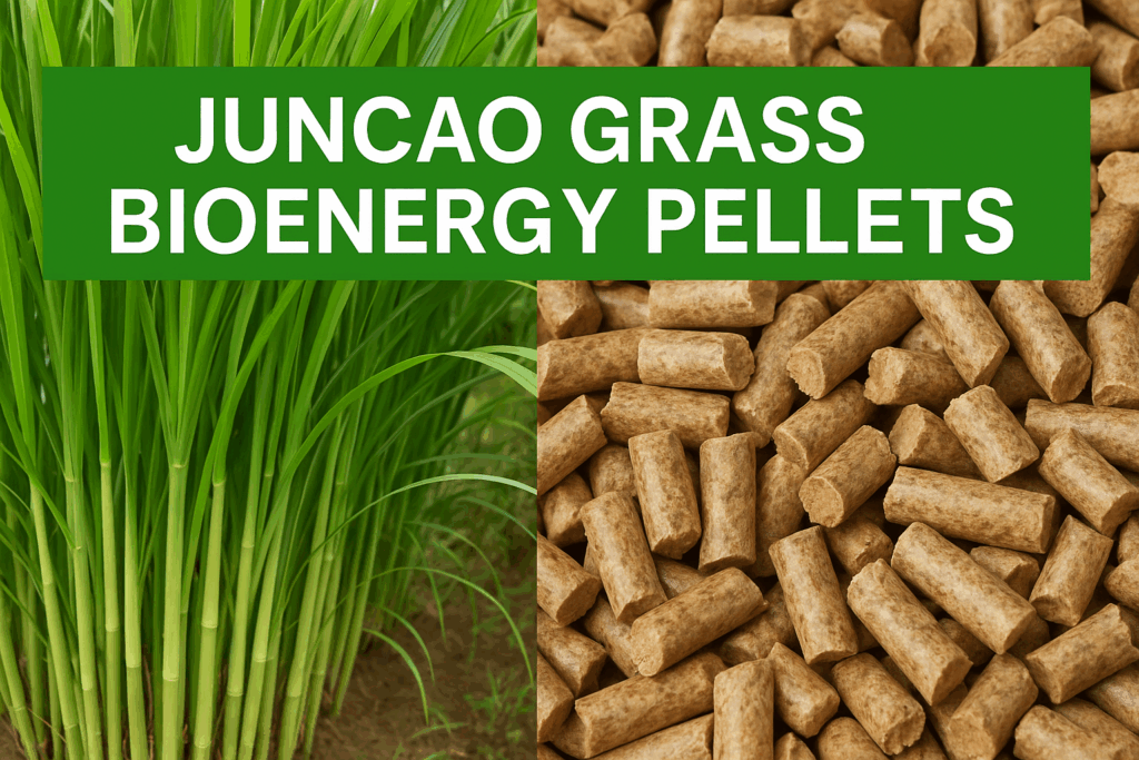 juncao grass bioenergy pellets