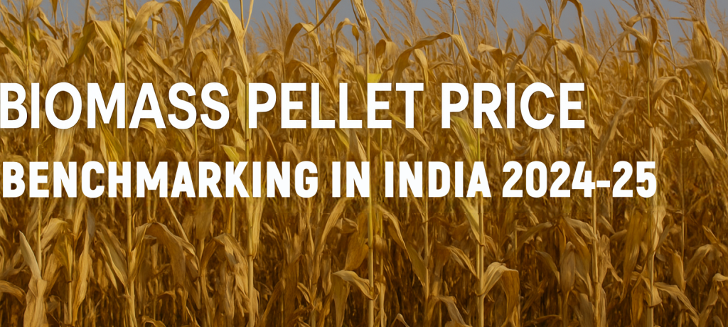 Biomass Pellet Price Benchmarking in India (2023-24)