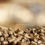 RDF Pellet Plant