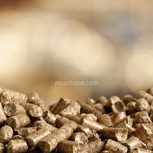 RDF Pellet Plant